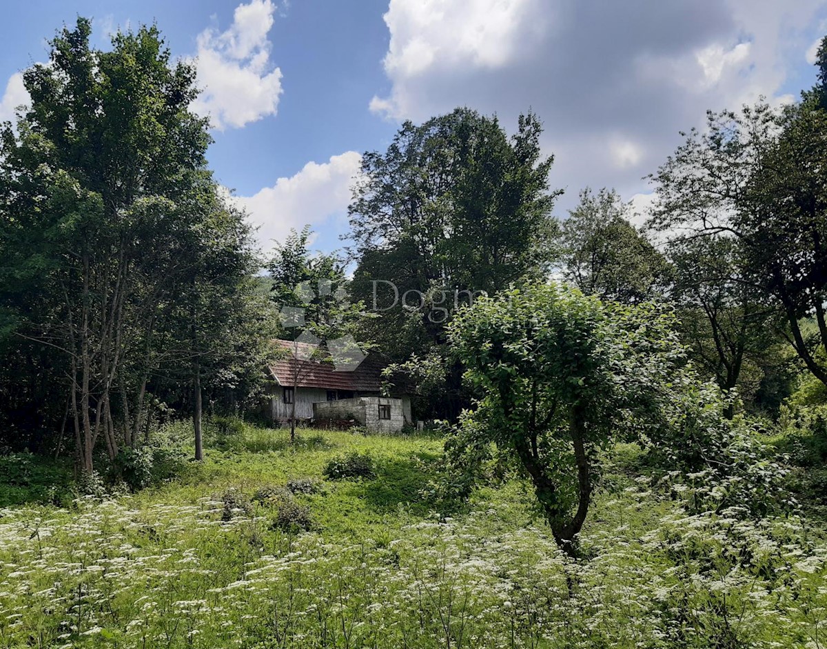 Land For sale - KARLOVAČKA OGULIN