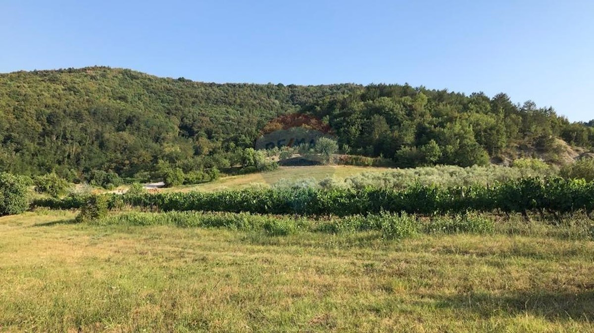 Pozemok Na predaj - ISTARSKA PAZIN