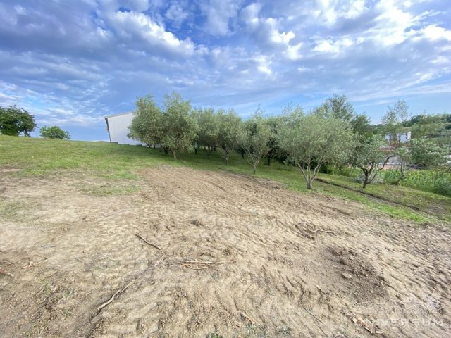 Land For sale - Istarska Vižinada - foto 3/3