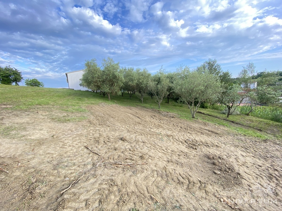 Land For sale - ISTARSKA Vižinada
