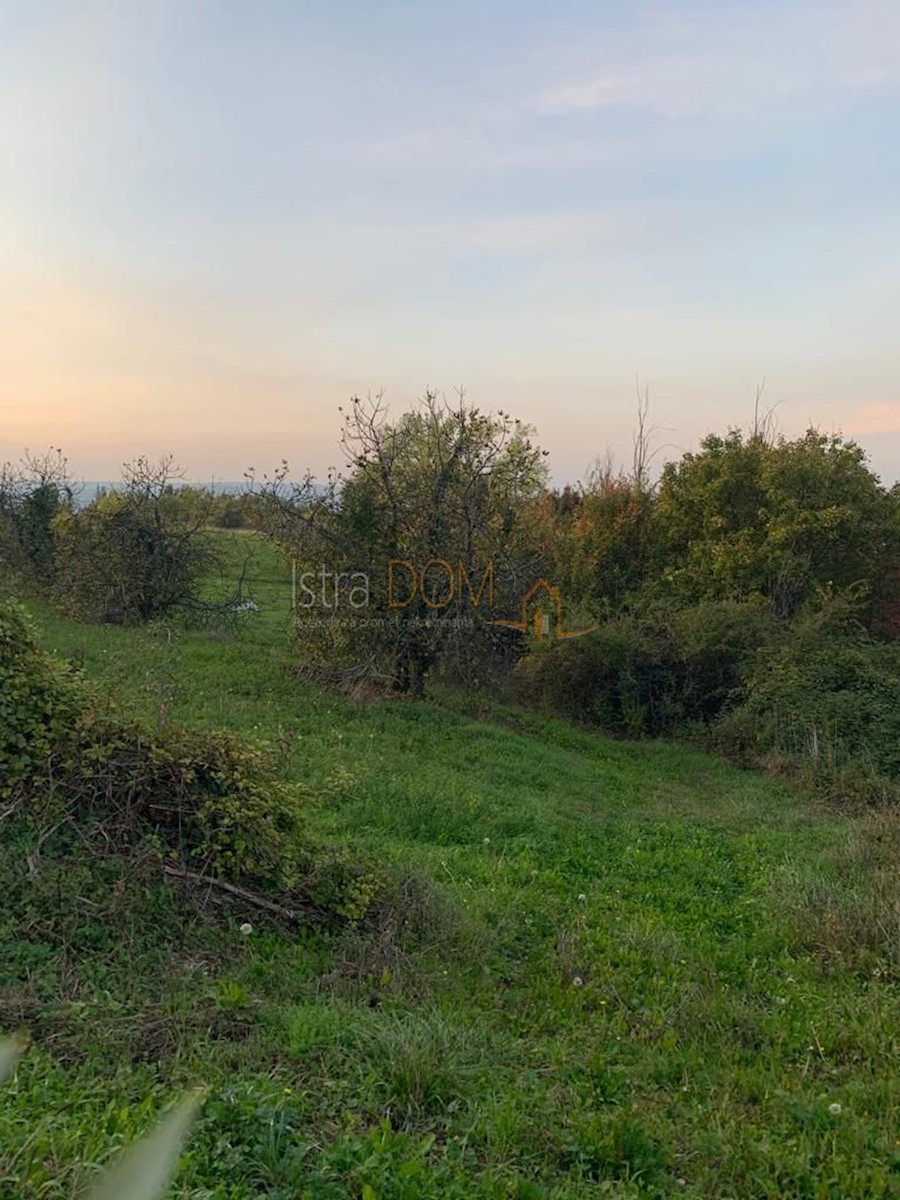 Terreno In vendita - ISTARSKA PAZIN