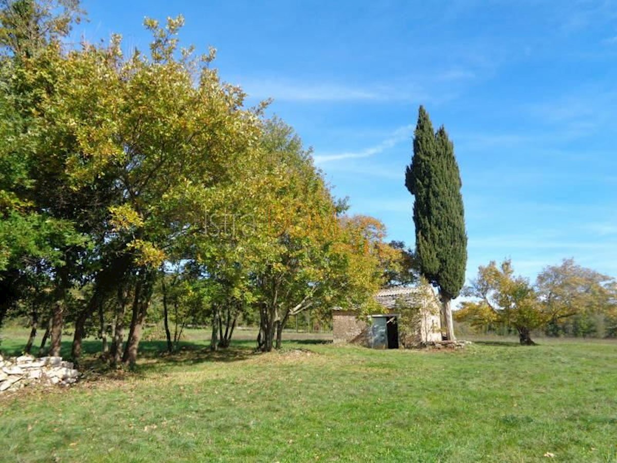 Terreno In vendita - ISTARSKA ŽMINJ