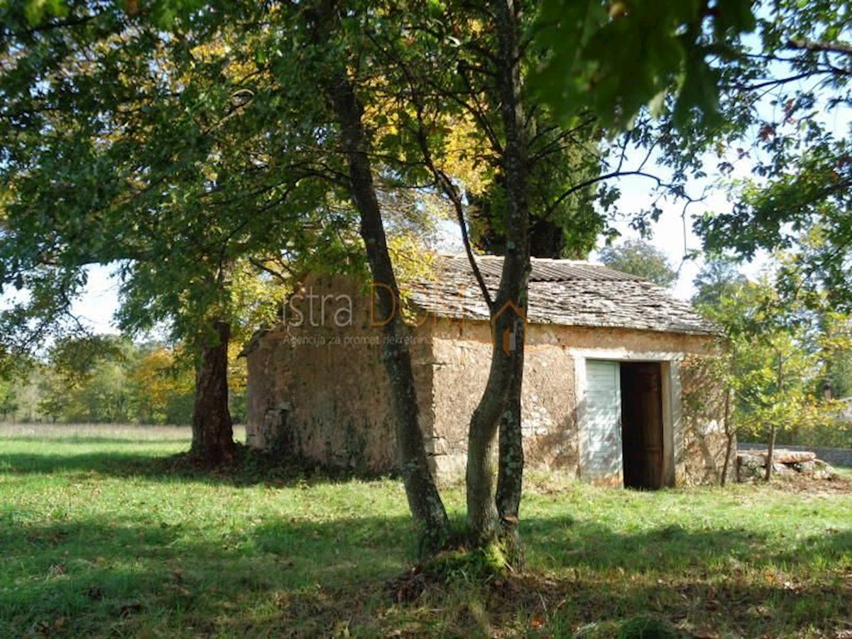 Pozemek Na prodej - ISTARSKA ŽMINJ