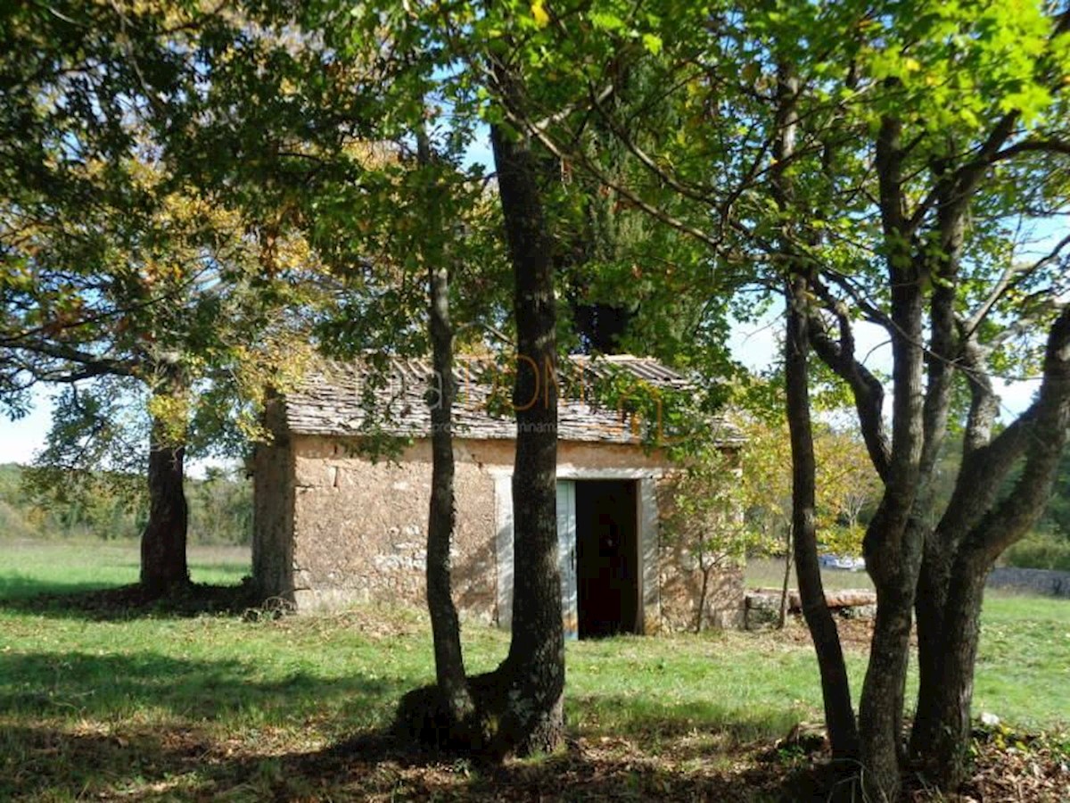 Terreno In vendita - ISTARSKA ŽMINJ