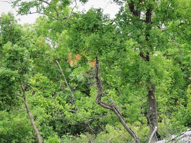 Land For sale - Primorsko-goranska Kostrena - foto 4/7