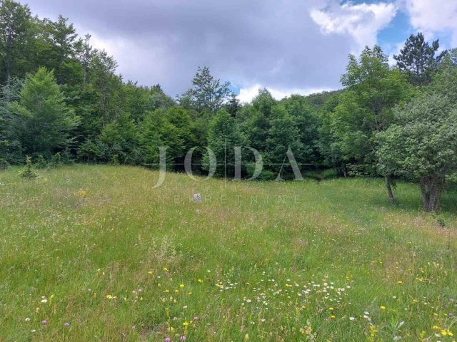 Terreno in vendita 3531 m² – Bribir