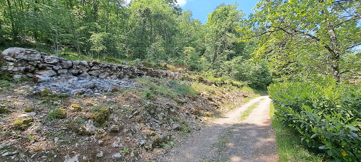 Terrain À vendre - Primorsko-goranska Matulji - foto 2/2