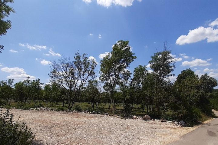 Parcela Naprodaj - Istarska Barban - foto 2/3
