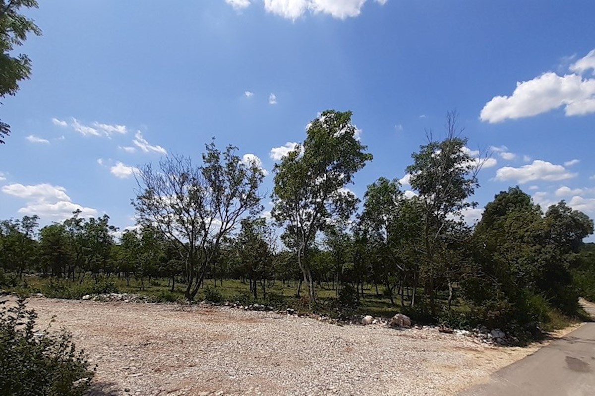 Land For sale - ISTARSKA BARBAN