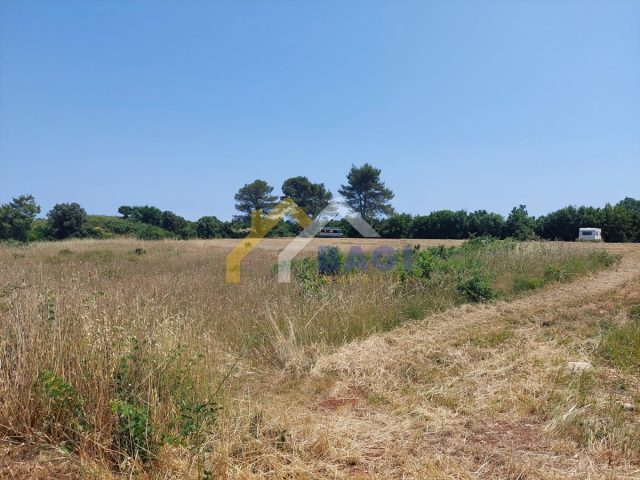 Zemljište na prodaju 552 m² – Šišan