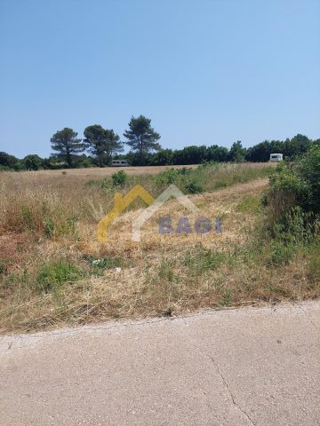 Terrain À vendre - Istarska Ližnjan - foto 2/2