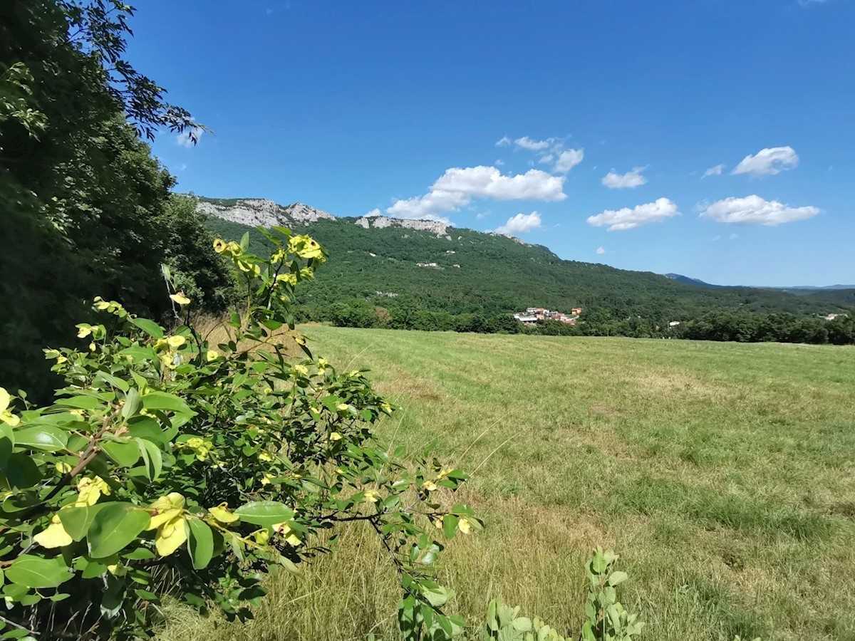 Zemljište Na prodaju - ISTARSKA BUZET