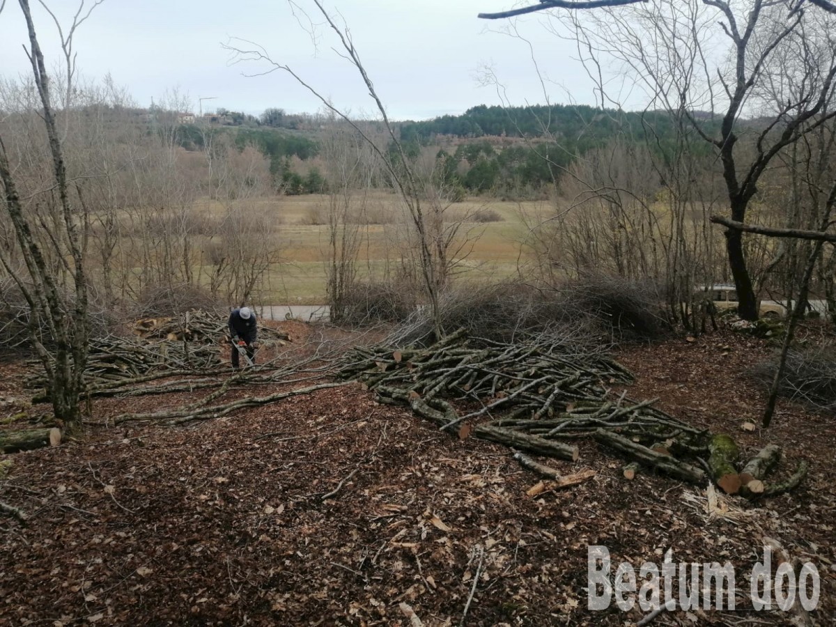 Terreno In vendita