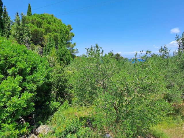 Land For sale - Zadarska Pašman - foto 4/10