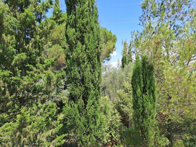 Land For sale - Zadarska Pašman - foto 5/10