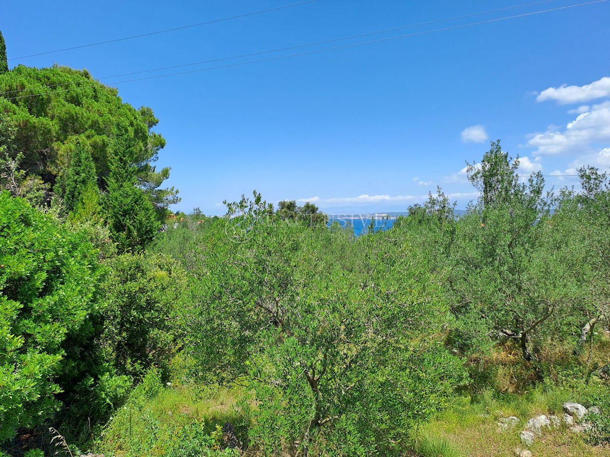 Land For sale - ZADARSKA PAŠMAN