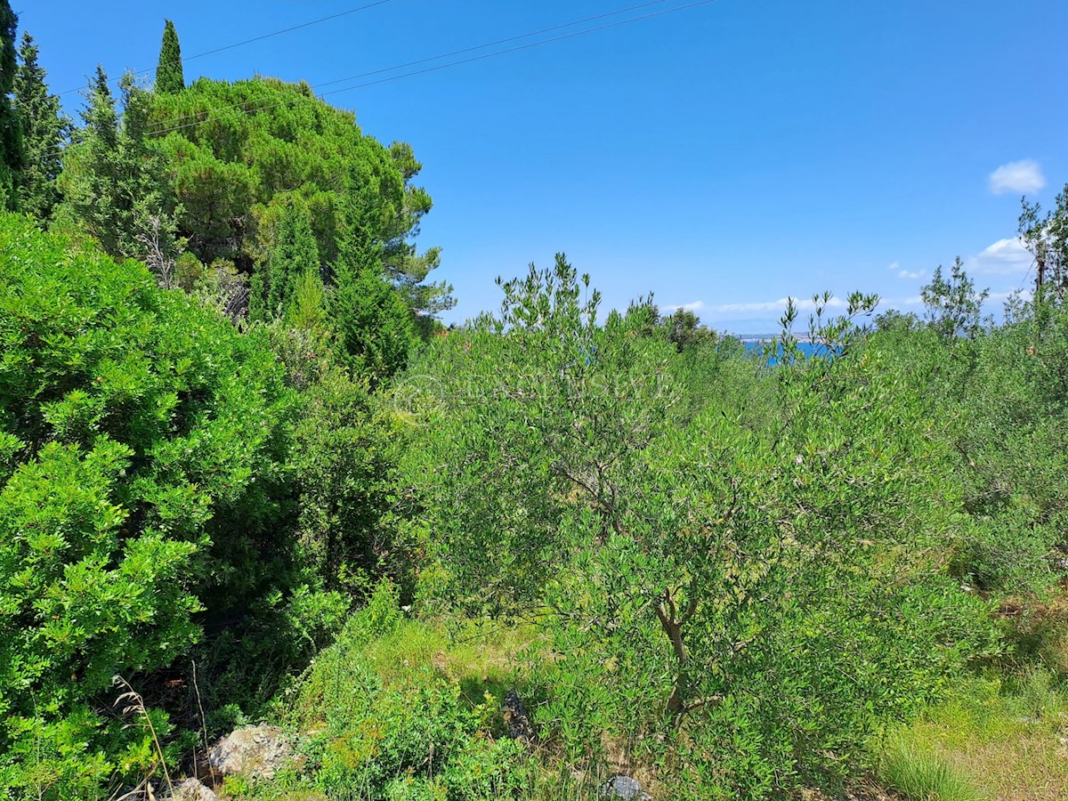 Land For sale - ZADARSKA PAŠMAN