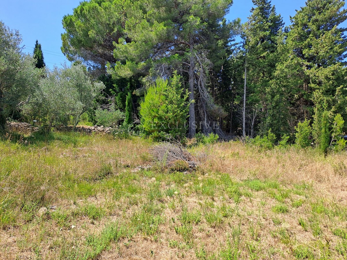 Land For sale - ZADARSKA PAŠMAN