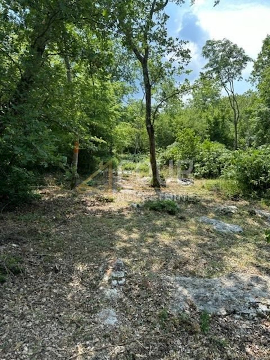 Terrain À vendre - Istarska Poreč - foto 1/4