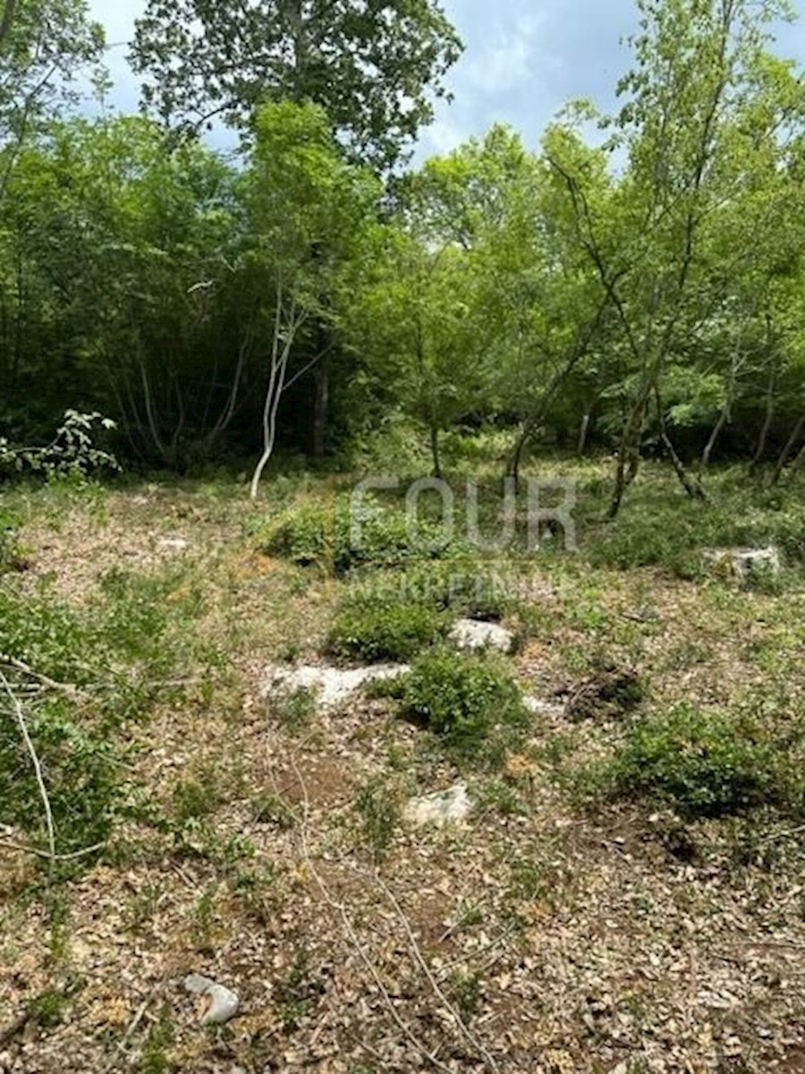 Terrain À vendre - Istarska Poreč - foto 2/4