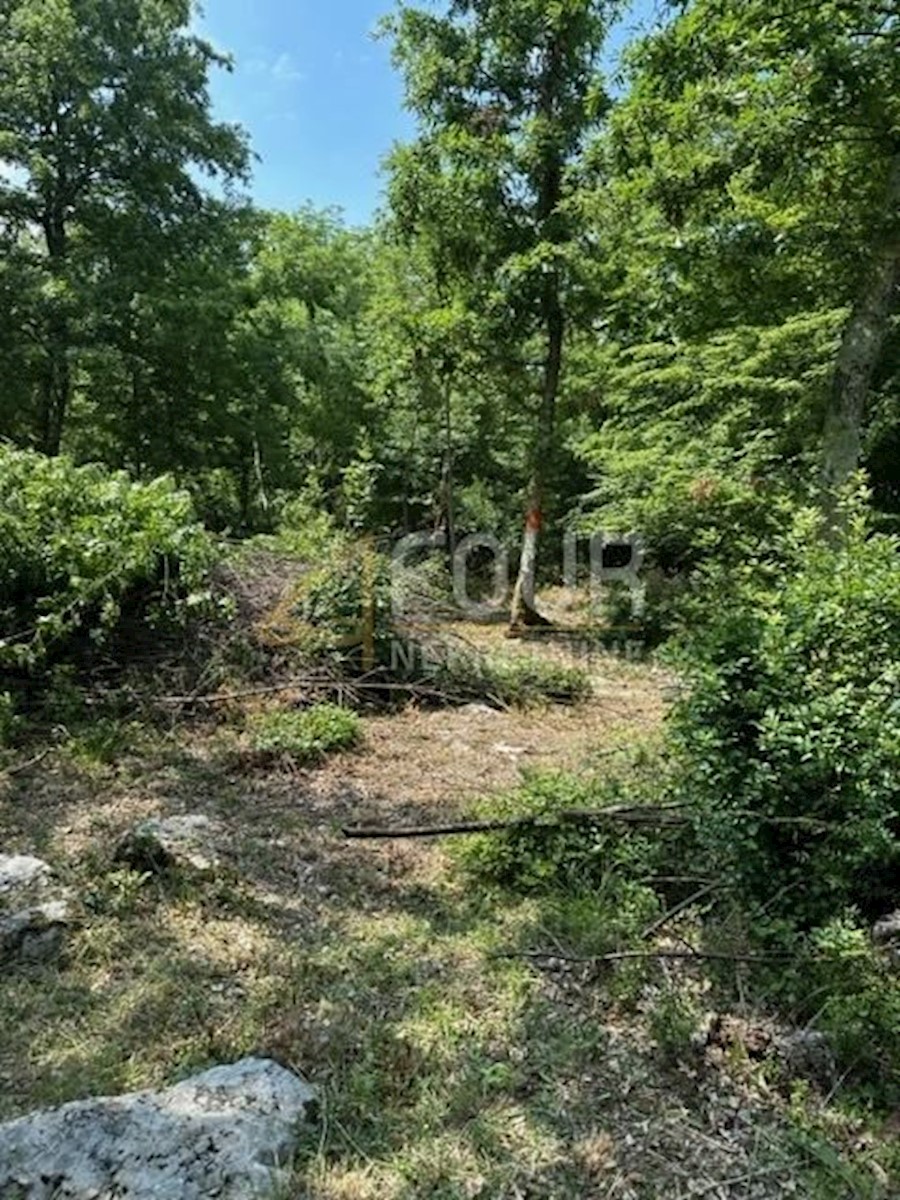 Terrain À vendre - Istarska Poreč - foto 3/4
