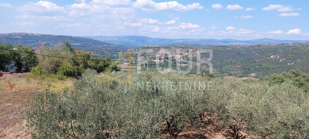 Land For sale - ISTARSKA PAZIN