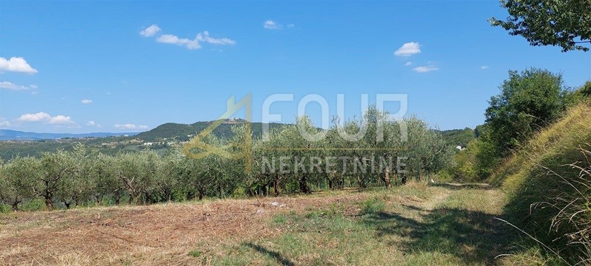 Land For sale - ISTARSKA PAZIN