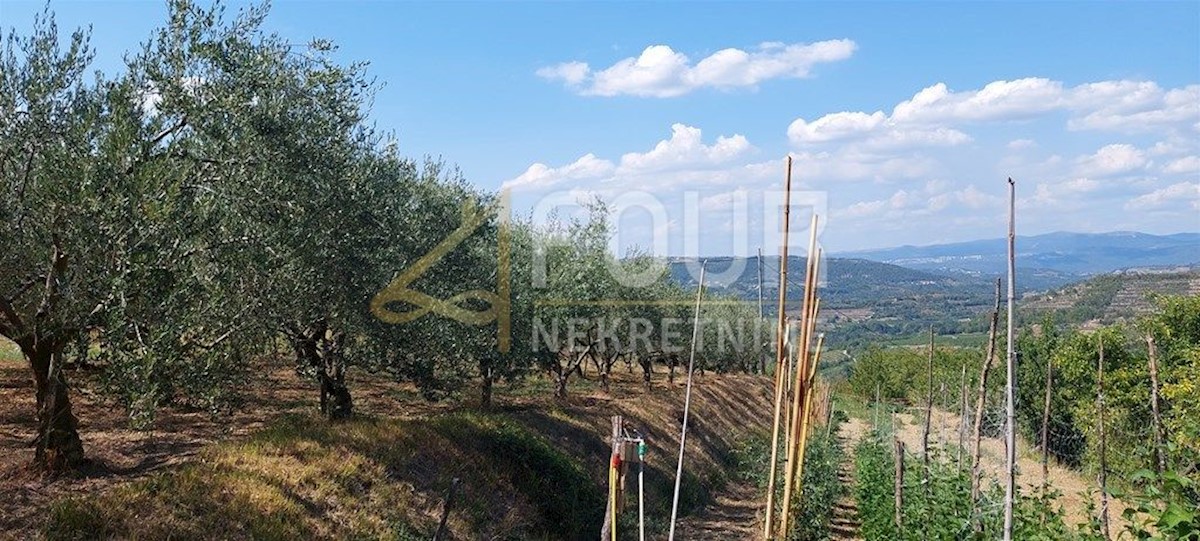 Land For sale - ISTARSKA PAZIN