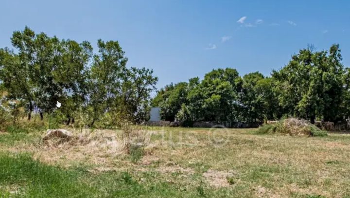 Zemljište na prodaju 11800 m² – Labin