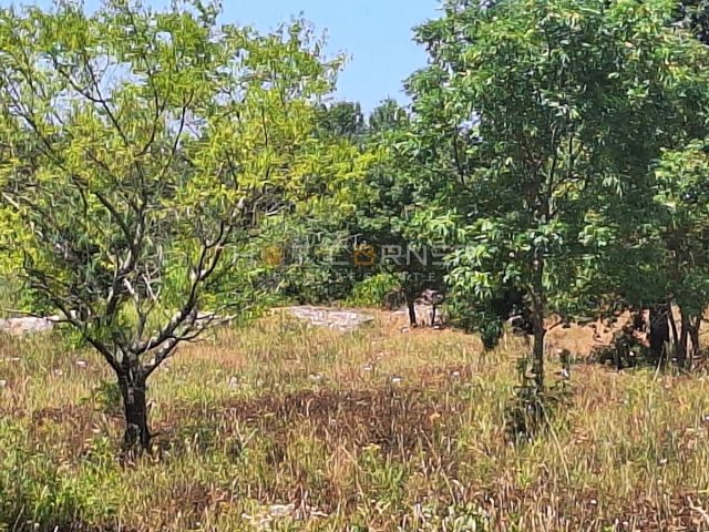 Parcela Naprodaj - Istarska Vodnjan - foto 5/5
