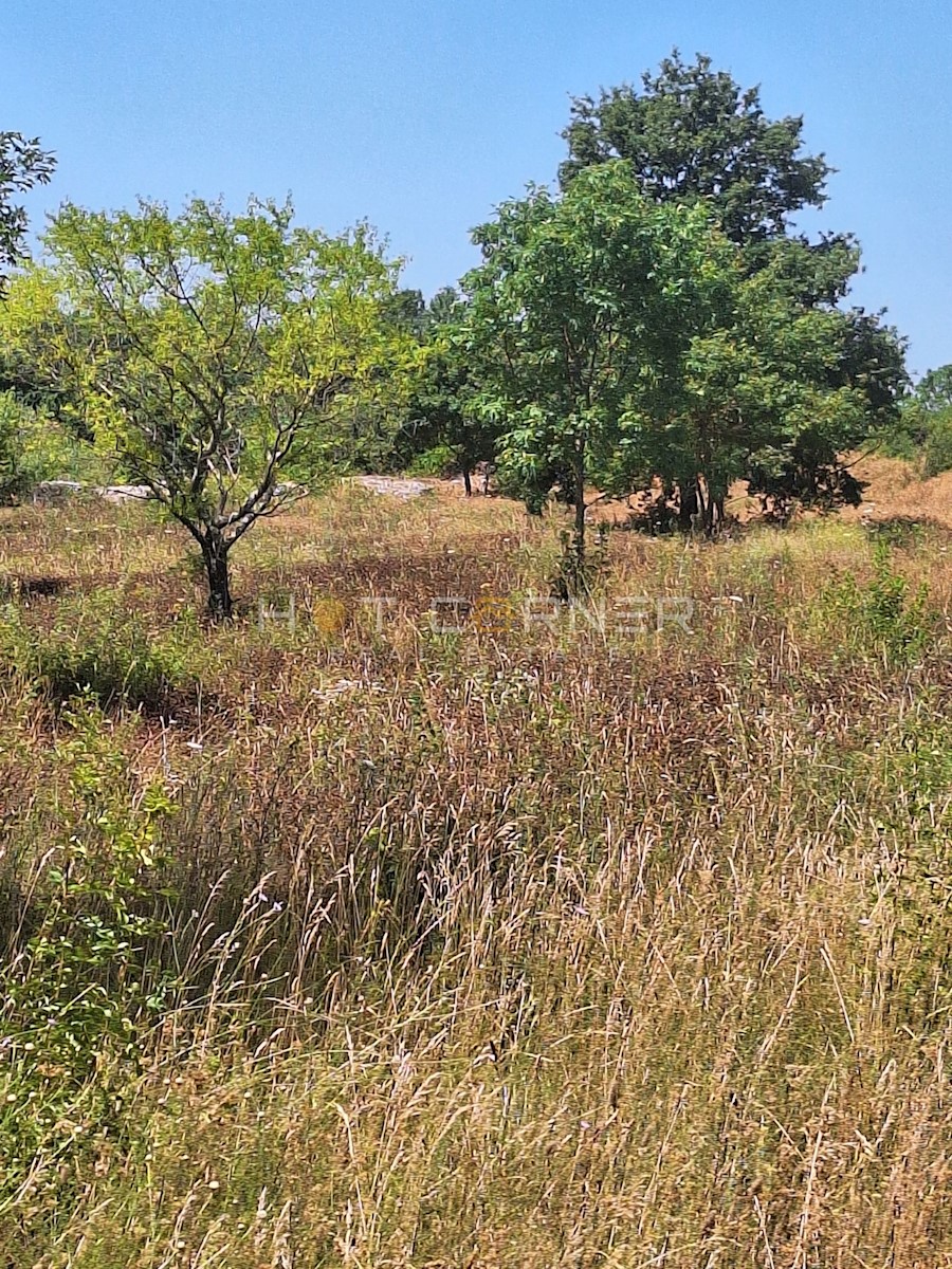 Zemljište Na prodaju - ISTARSKA VODNJAN