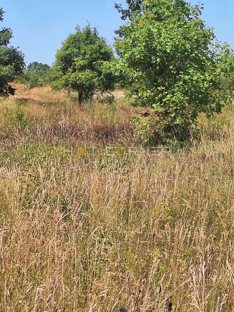 Zemljište Na prodaju - ISTARSKA VODNJAN