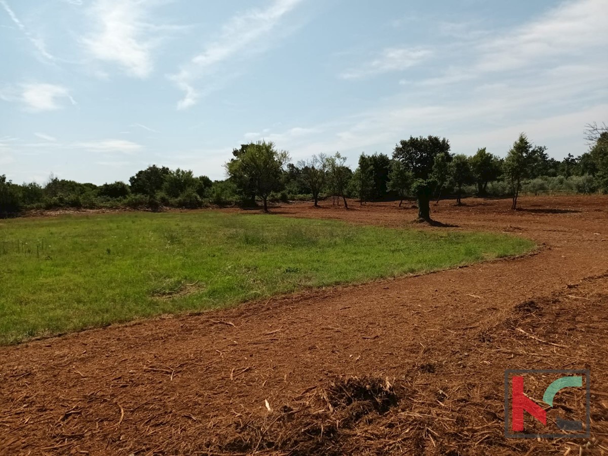 Terreno In vendita - ISTARSKA SVETVINČENAT