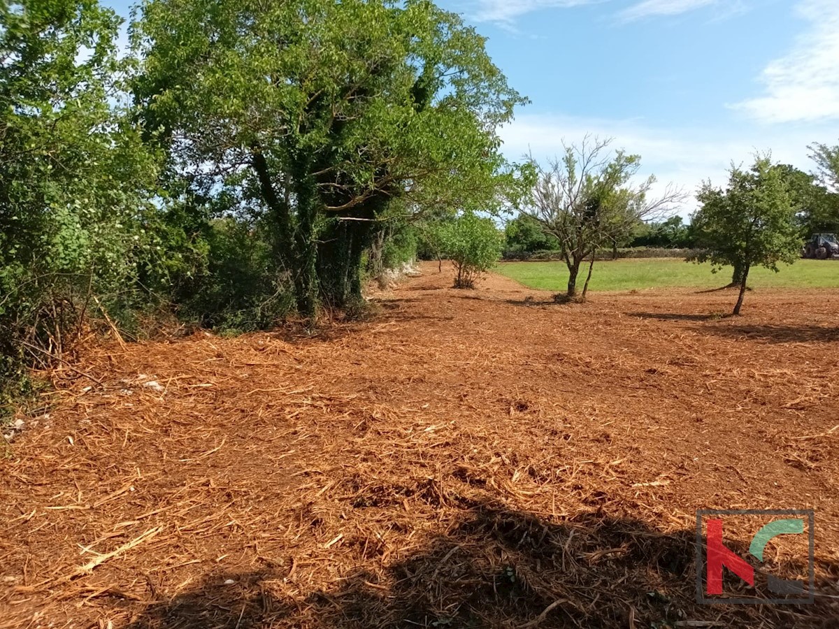 Terreno In vendita - ISTARSKA SVETVINČENAT