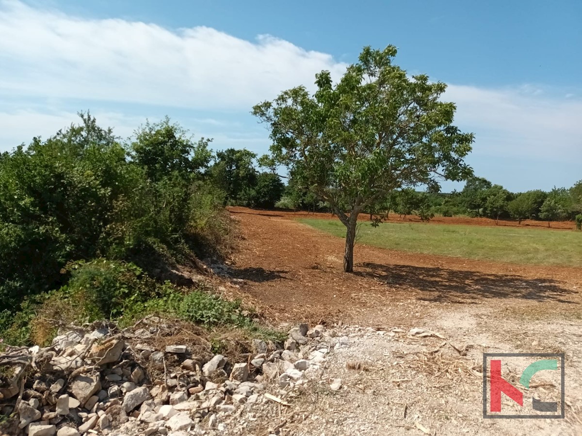 Terreno In vendita - ISTARSKA SVETVINČENAT