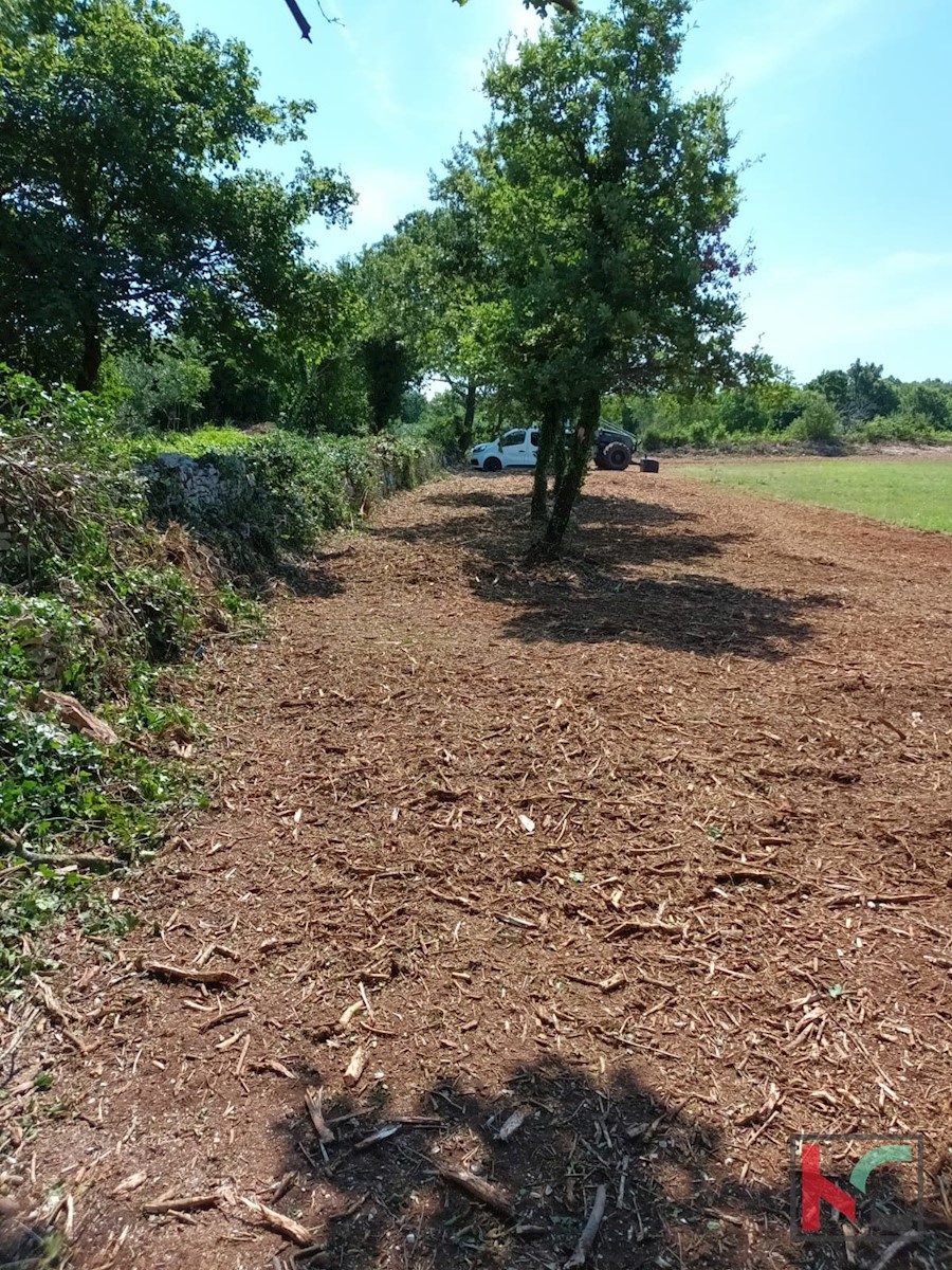 Terreno In vendita - ISTARSKA SVETVINČENAT