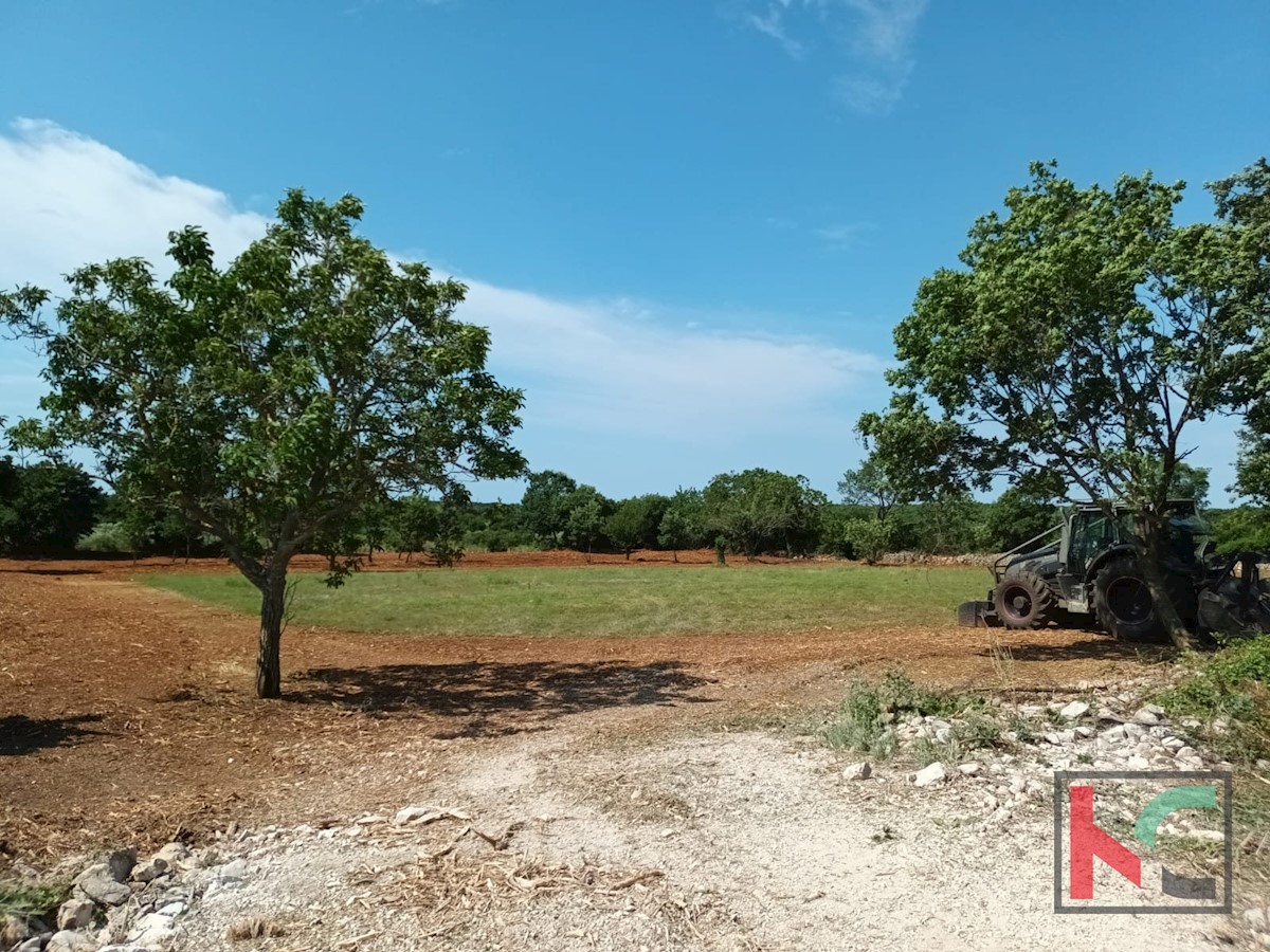 Terreno In vendita - ISTARSKA SVETVINČENAT