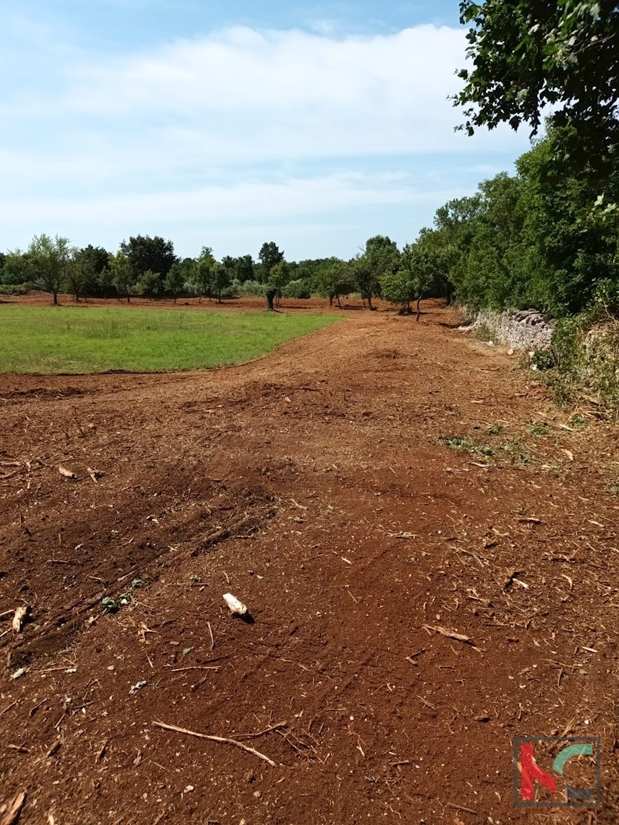 Terreno In vendita - ISTARSKA SVETVINČENAT