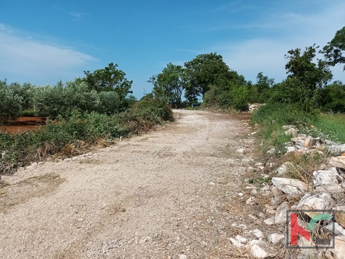 Terreno In vendita - ISTARSKA SVETVINČENAT