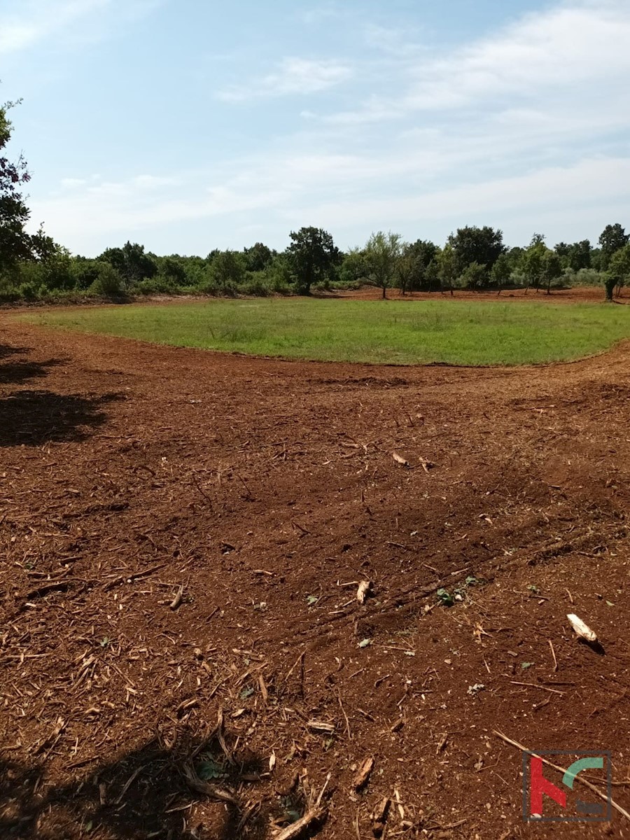 Terreno In vendita - ISTARSKA SVETVINČENAT