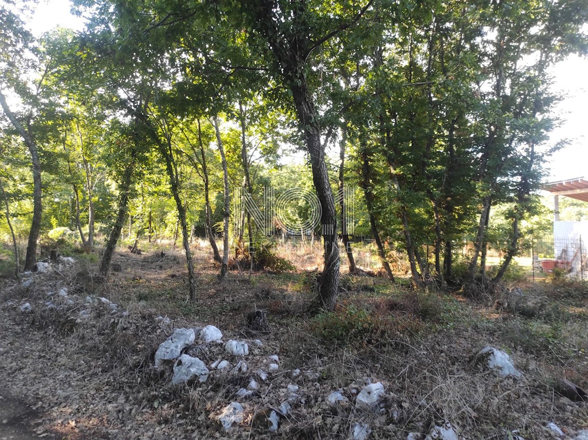 Land For sale - ISTARSKA KAROJBA