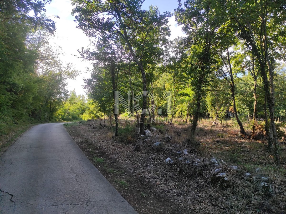 Land For sale - ISTARSKA KAROJBA