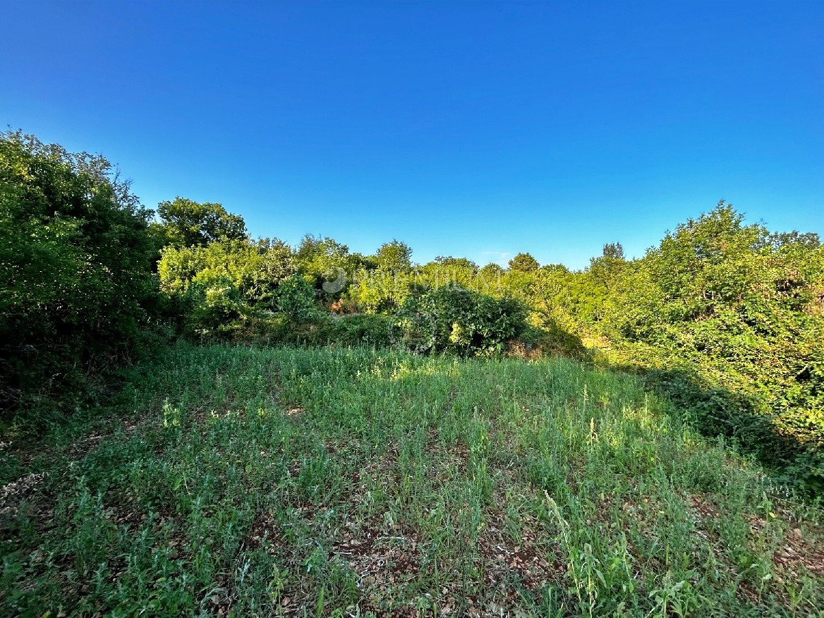 Terrain À vendre