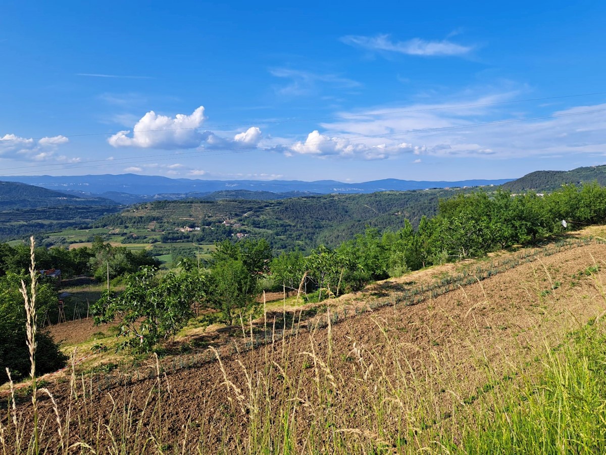 Zemljište Na prodaju - ISTARSKA PAZIN