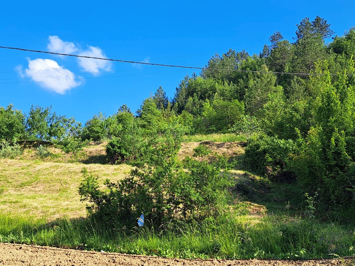 Zemljište Na prodaju - ISTARSKA PAZIN