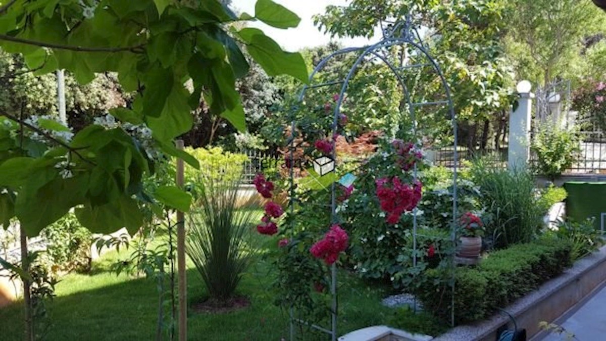 House For sale - ISTARSKA MEDULIN