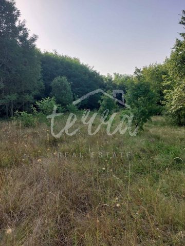 Land for sale 5661 m² – Kunj