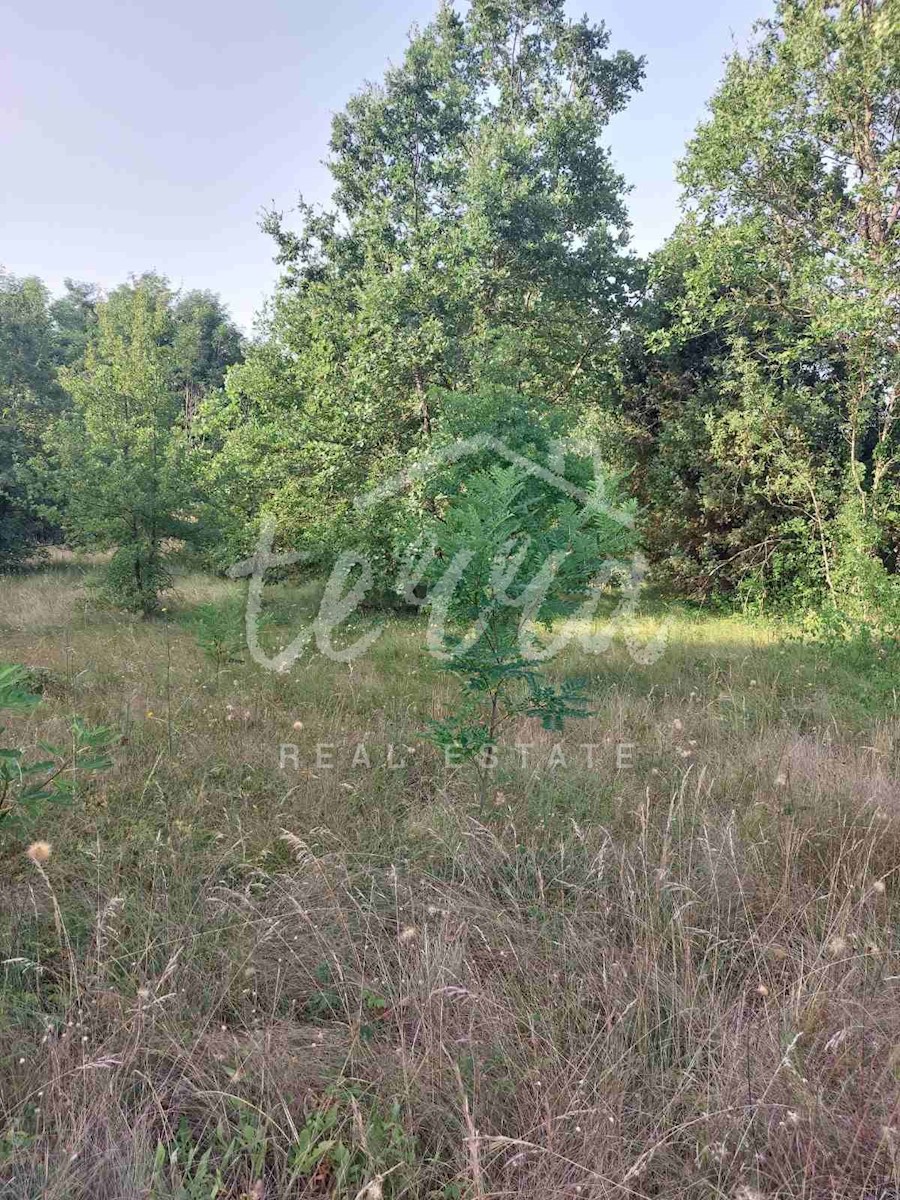 Land For sale - ISTARSKA RAŠA