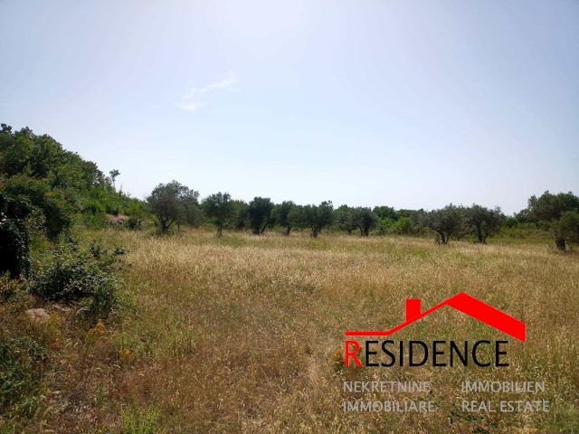 Land For sale - Istarska Vodnjan - foto 2/10