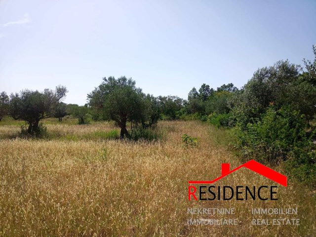 Land For sale - Istarska Vodnjan - foto 3/10